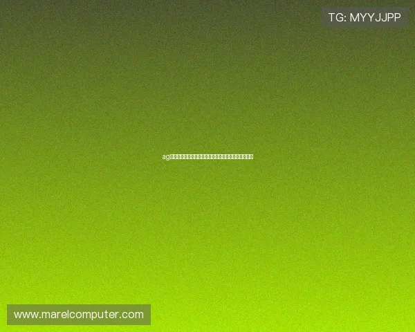 ag鞋官网娱乐平台安全可靠保障用户购物体验的最佳选择