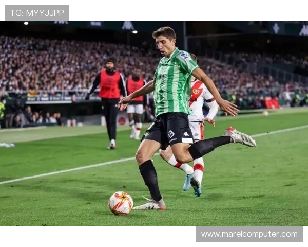 西甲ag官网推荐：随时掌握西甲赛季动态与球队资讯的最佳途径